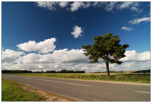 Roadside