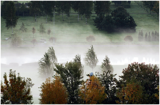 Foggy Morning ...