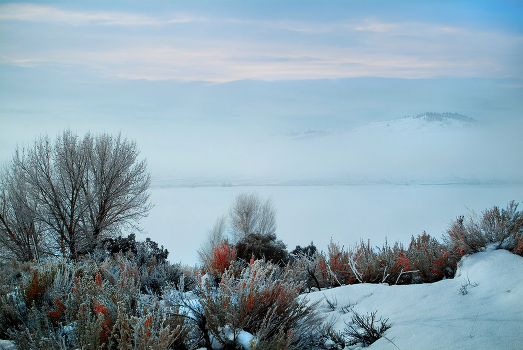 snow and mist