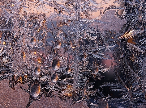 Frosty patterns - "Sunset ..."
