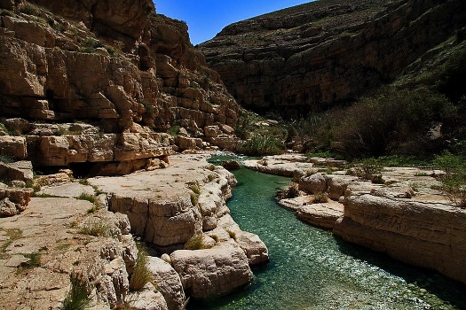 Nahal Prat
