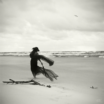 wind ...