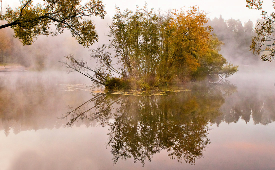 island fall