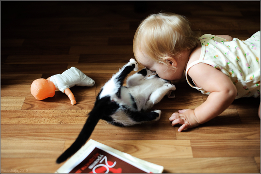 Mila and the Cat