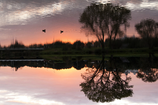 mirror