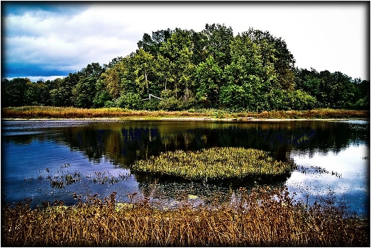 The contrasts of autumn