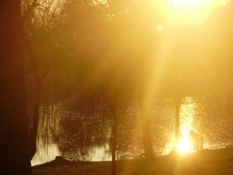 Park