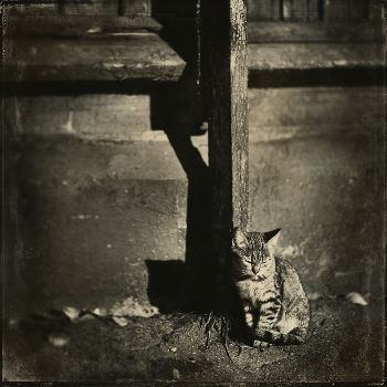melancholy