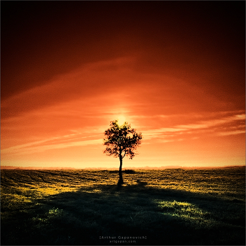 [ NO NAME ]