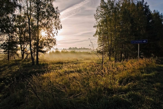 Foggy morning.
