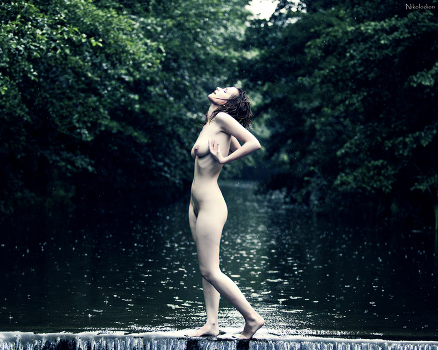 Silent Mirror