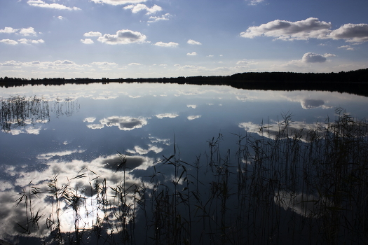 Reflection