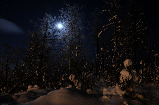 The moon was shining