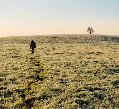 in search of a minimalist