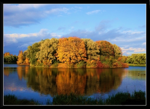 Joy of Autumn
