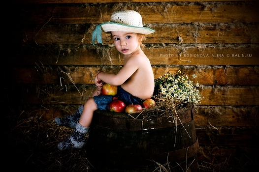 Autumn apples