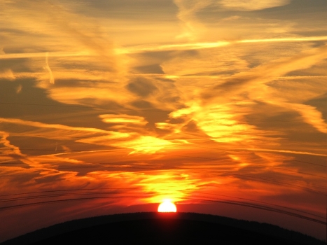 jaded sun