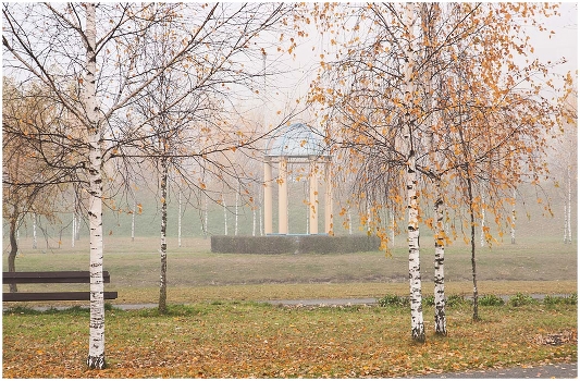 Morning fog