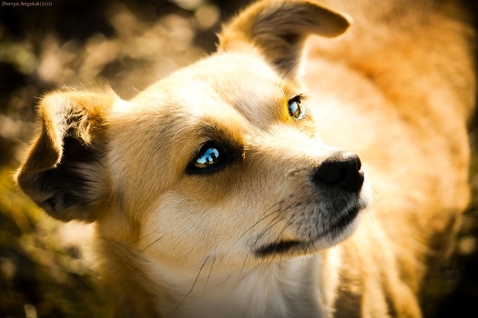 And we are in her eyes