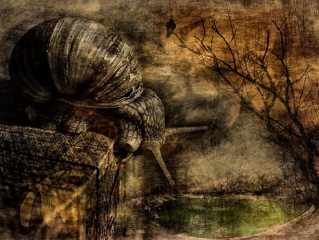 Dream of unfulfilled dreams ...