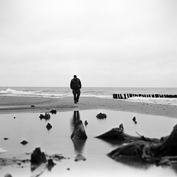 non-self-self-portrait
