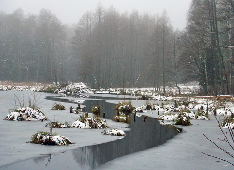 Breath of winter ...