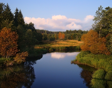 Autumn symptoms