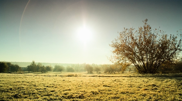 In the deserted autumn