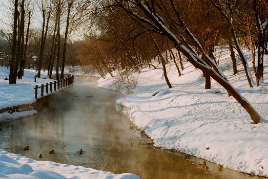 Winter by the river