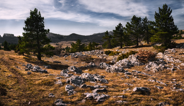 Ai-Petri plateau
