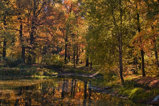the spirit of autumn