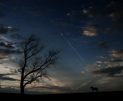 ... In the evening ...