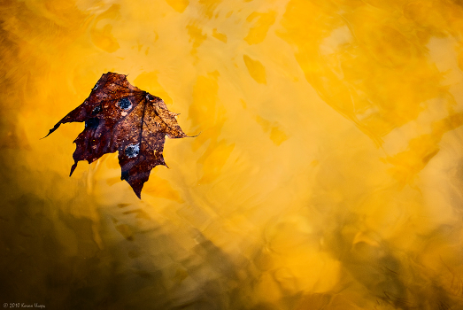 Memory of Autumn