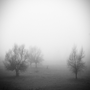 White Silence