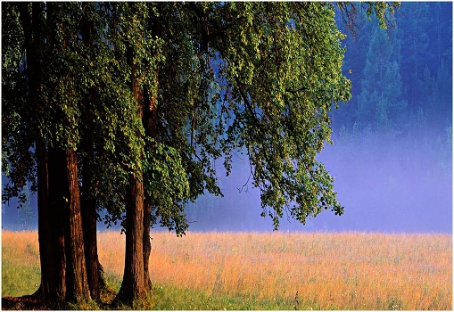 Blue Utro2