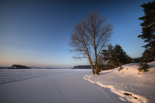 | Footprints in the Avian |