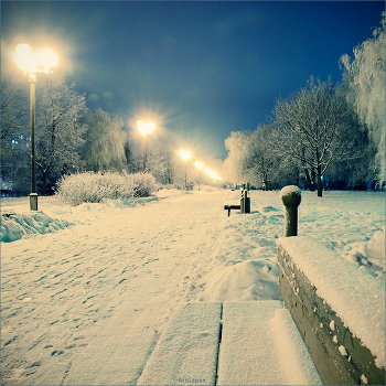 [... Night]
