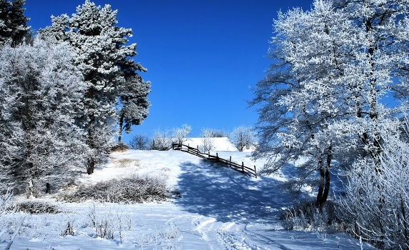 winter sun and a wonderful day