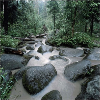 River Kamenka