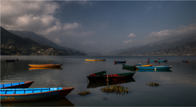 Lake FEVA