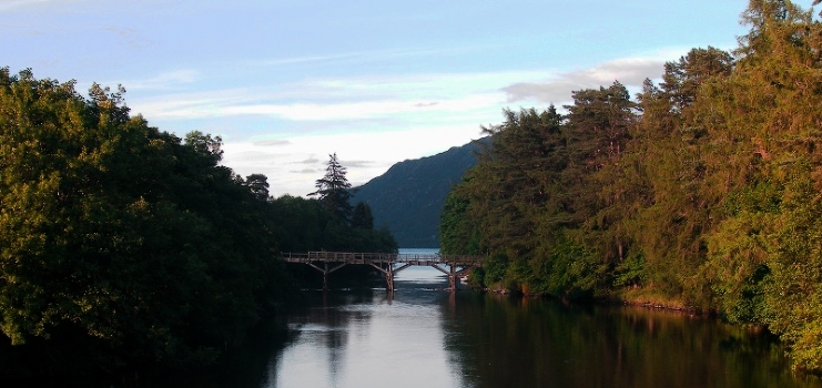 Bridge