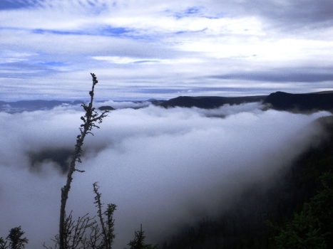 Above the Clouds