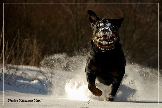 Winter jogging