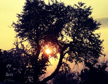 Winter sun.