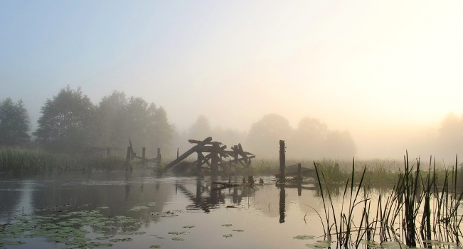 From a series of misty Rhapsody