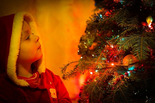 Wish Tree