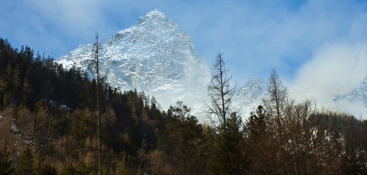 Alps