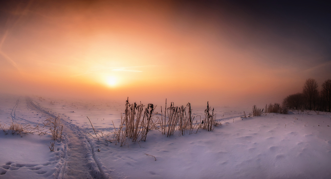 morning 01/05/2011