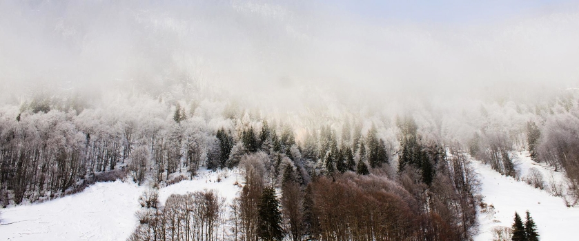 Alps 2