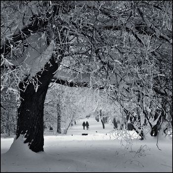 In Winter Park